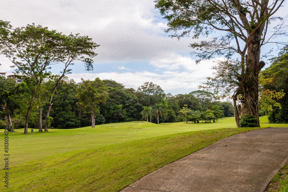 Landscape at the golf course. Tropical zone