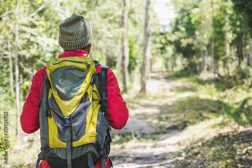 Hipster Hikers wear red raincoats, green backpacks, travel into the deep forest.