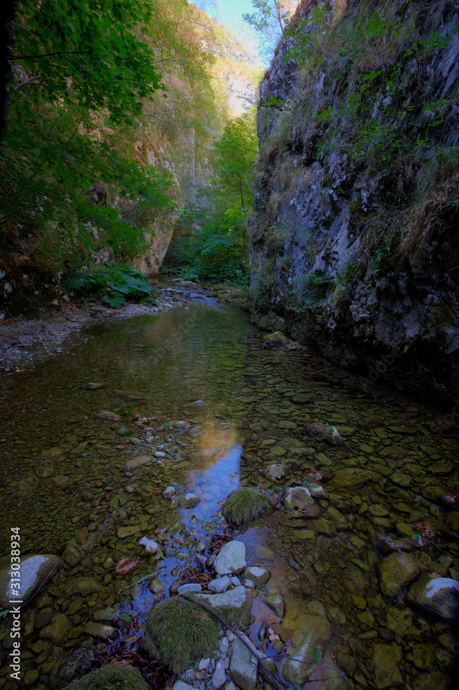 Wild Dabasnica canyon in Croatia