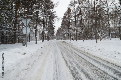 Road through the winter forest