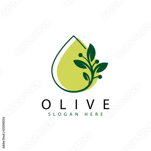 fresh olive logo, water leaf logo, green olive logo