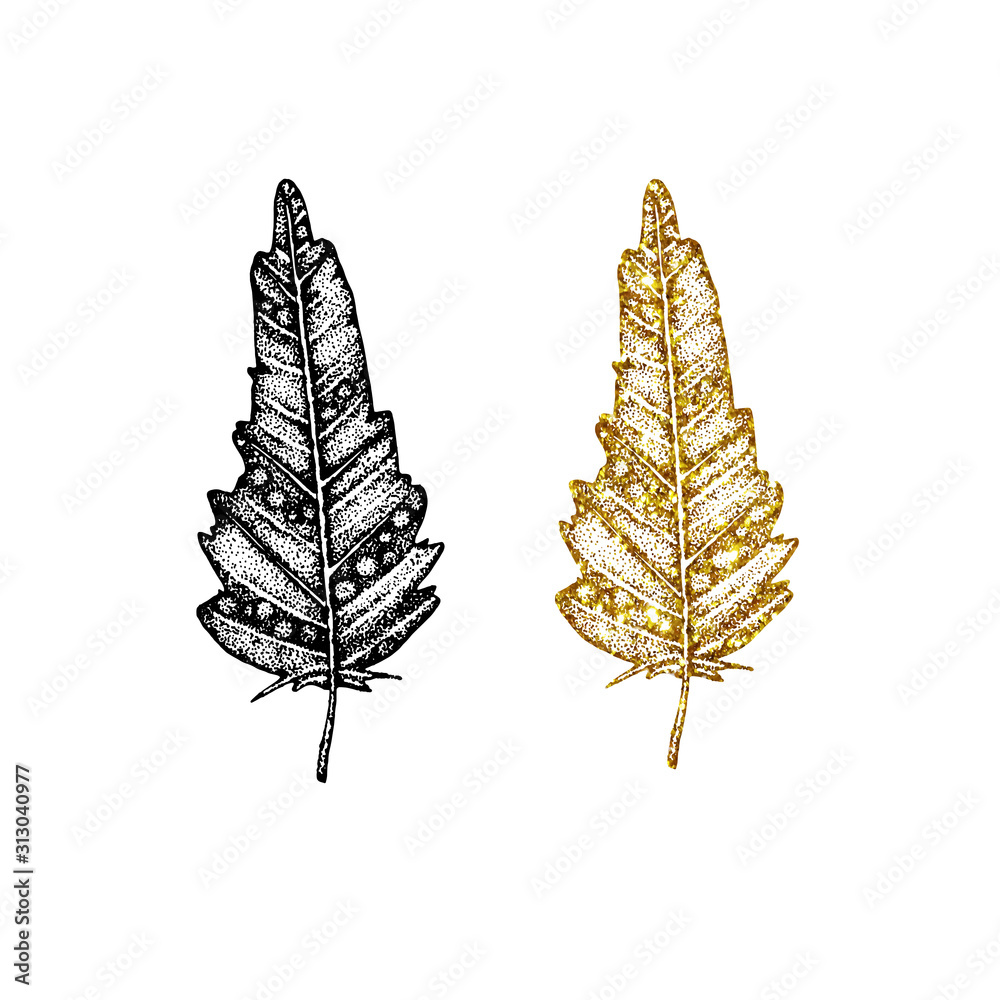 Set of gold and black bird feathers with a pattern. Hand vector illustration isolated on white background. For cover design, print, business card, icon, template.