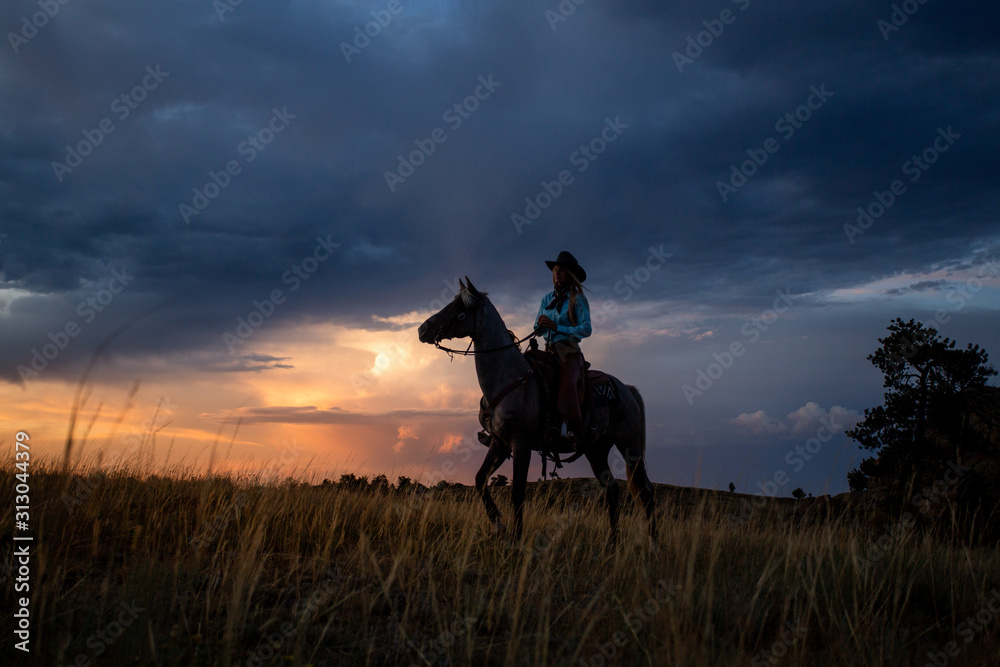 Cowgirl Silhouette Cowgirl Silhouette