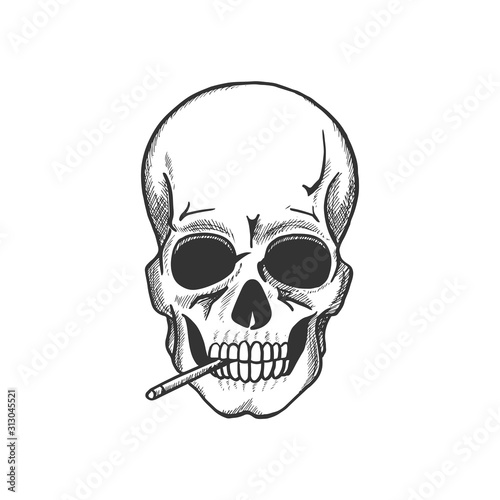Skull smoking sketch for death danger symbol and tobacco addiction themes design. Head bone of human skeleton with cigarette for warning sign or tattoo design