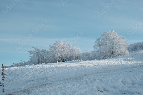 Winter mountains landscape. Karphatians wiev. Karpaty © Andrey Cherlat