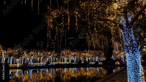 Colorful light decoration on tree