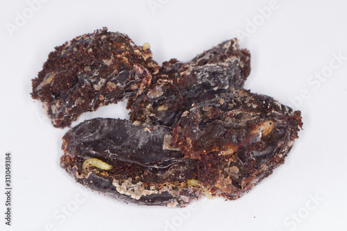 Caterpillar of indian mealmoth or Indianmeal moth Plodia interpunctella of a pyraloid moth from the family Pyralidae is common pest of stored products and pest of food in homes. On damaged dried plums photo