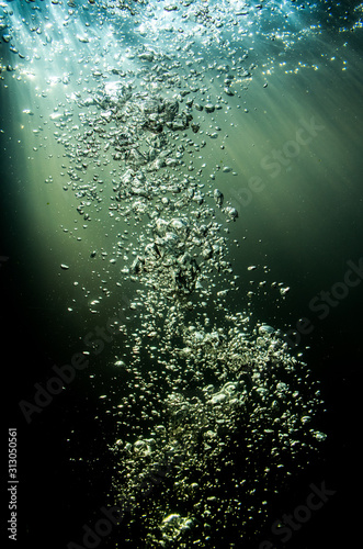 A stream of bubbles in the water