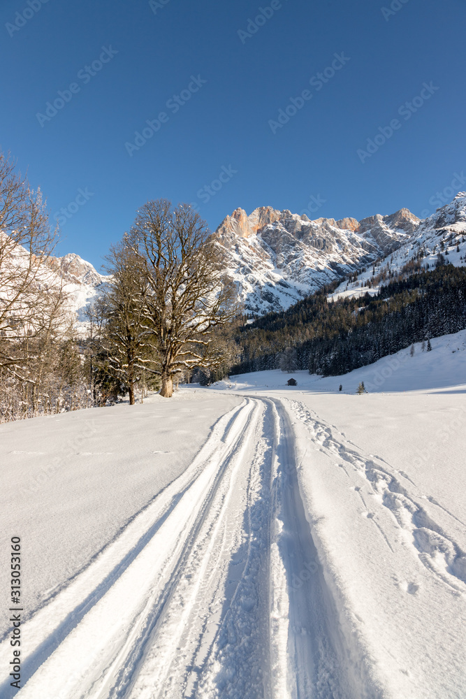Obraz premium Sunny winter landscape in the nature: Mountain range, footpath, snowy trees, sunshine and blue sky