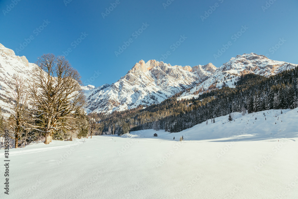Sunny winter landscape in the nature: Mountain range, snowy trees, sunshine and blue sky