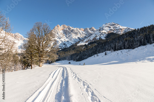 Sunny winter landscape in the nature: Mountain range, footpath, snowy trees, sunshine and blue sky