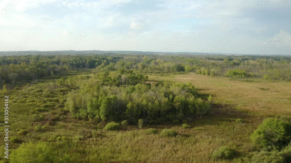 Drone flying straight over green woodland in Americas midwest, Wisconsin Drone flying straight over green woodland in Americas midwest, Wisconsin