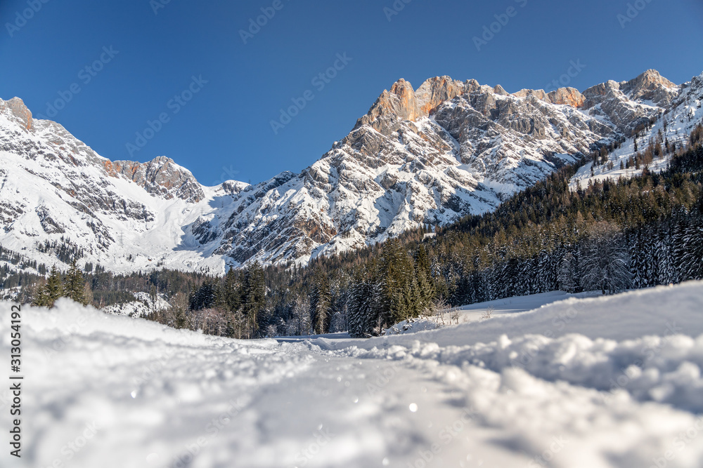 Sunny winter landscape in the nature: Mountain range, footpath, snowy trees, sunshine and blue sky