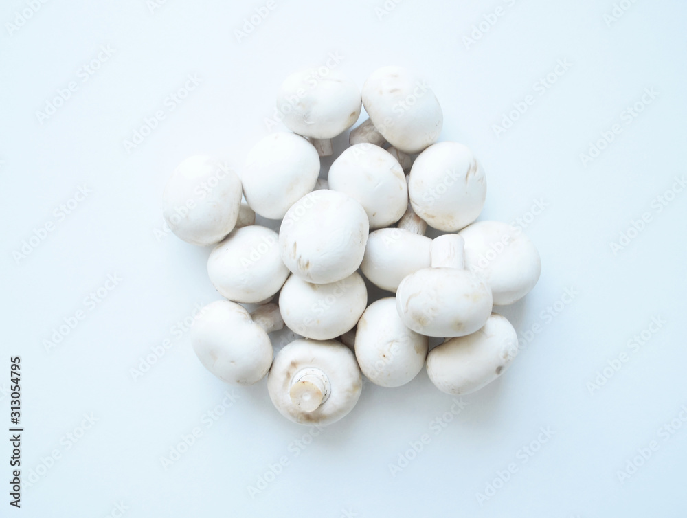 Lots of mushrooms on a white isolated background.