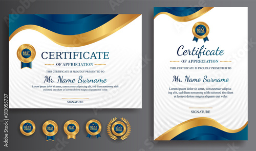 Premium gold and blue certificate of appreciation template, clean modern design with gold badge