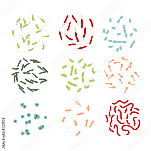Vector illustration of pathogenic bacteria 