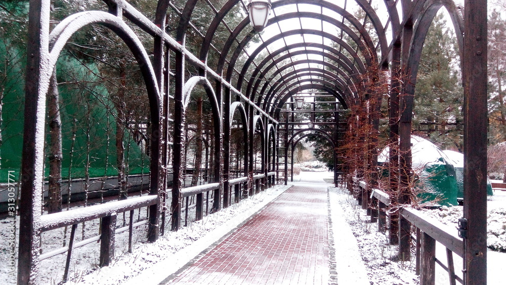 scenic winter pathway
