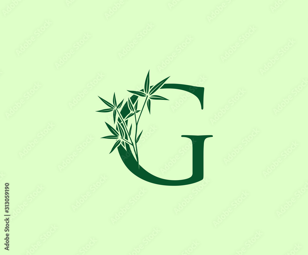 Fototapeta Green Bamboo G Letter logo icon design