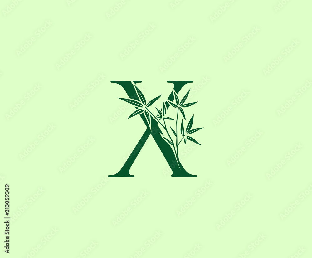 Fototapeta Green Bamboo X Letter logo icon design