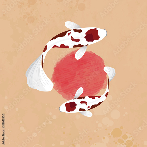 Goromo fish koi. Fish Koi Illustration. Concept for Fish Koi. Flat style vector illustration isolated on colour background, suitable for wallpaper, banner, book illustration. photo