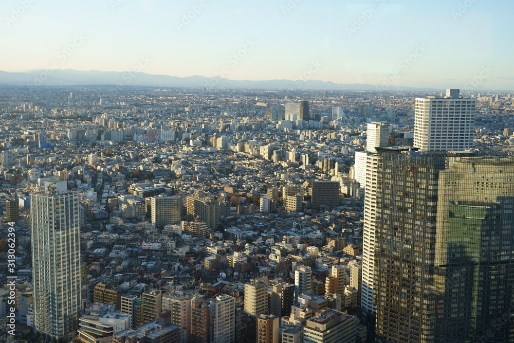 A view from above Tokyo