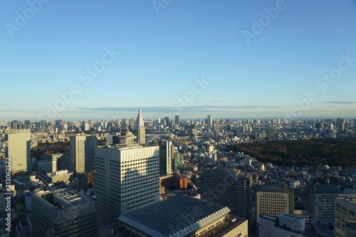 Fototapeta Naklejka Na Ścianę i Meble -  A view from above Tokyo