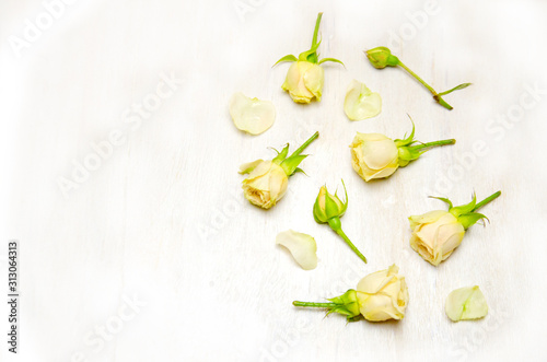 yellow rose buds and petals on a wooden white background with space