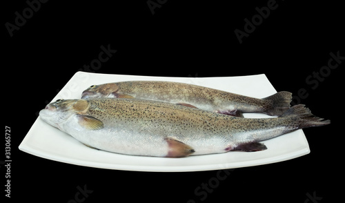 Two raw rainbow trout fish