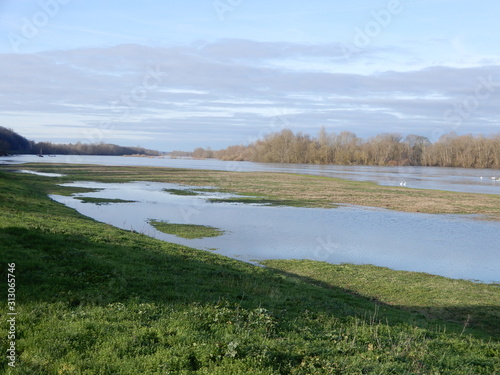 La Loire en hiver  Chaumont sur Loire  Loir et Cher  Val de Loire  France