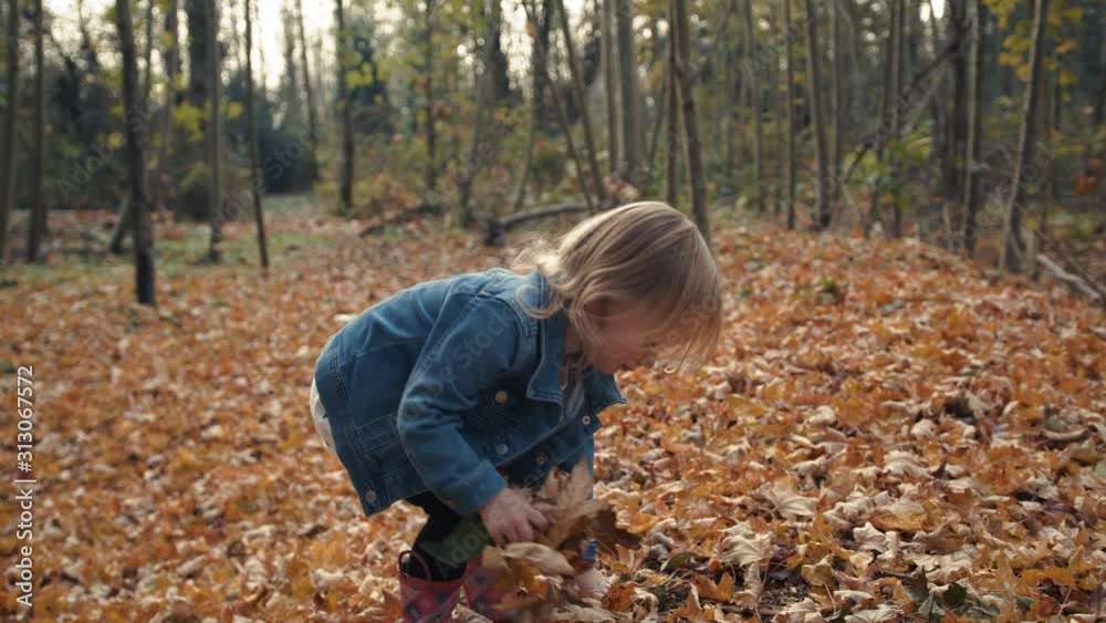 Precious Little Blond Girl in Jean Jacket Picking Up and Tossing Fall Leaf Pile Precious Little Blond Girl in Jean Jacket Picking Up and Tossing Fall Leaf Pile