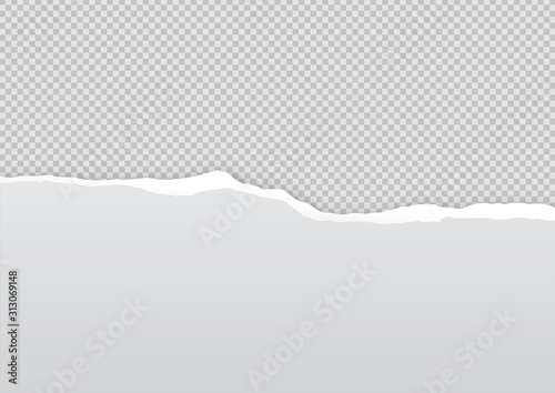 Torn paper on transparent background with space for text. Vector illustration.