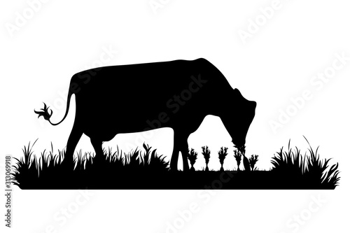 Vector silhouette of cow eat carrot on garden. Symbol of animal, field, farm, destroy, corp, pest.