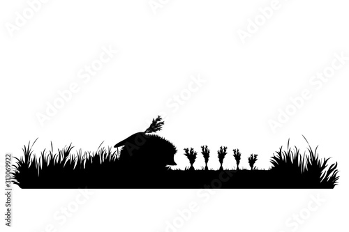 Vector silhouette of hedgehog eat carrot on garden. Symbol of animal, field, farm, destroy, corp, pest.