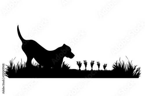 Vector silhouette of dog on garden. Symbol of animal, field, farm, wait, look.