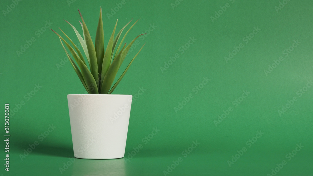 Artificial cactus plants or plastic or fake tree on green background. Artificial cactus plants or plastic or fake tree on green background.
