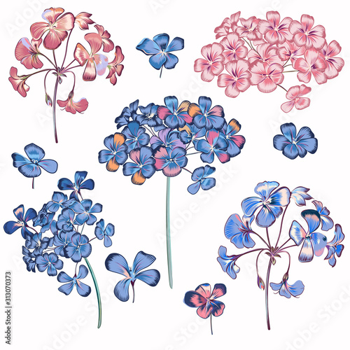 Collection of vector geranium flowers for design