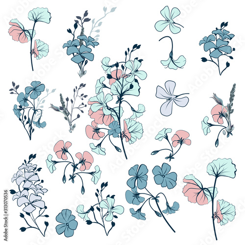 Collection of vector geranium flowers for design