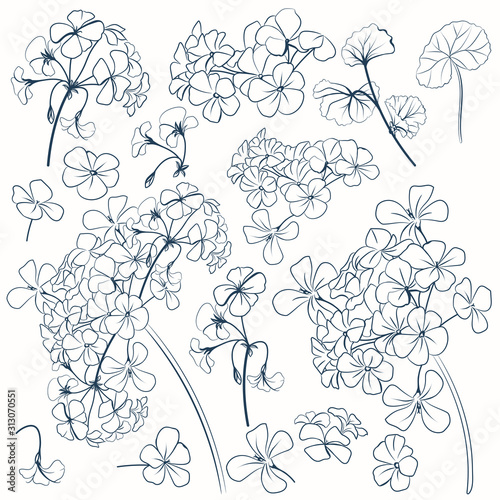 Set of vector flower shapes for design