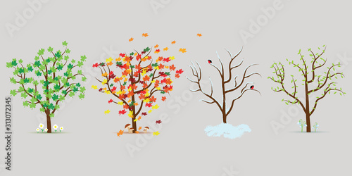 Vector set of four seasons trees. Flat design