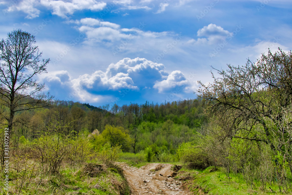 nature nature