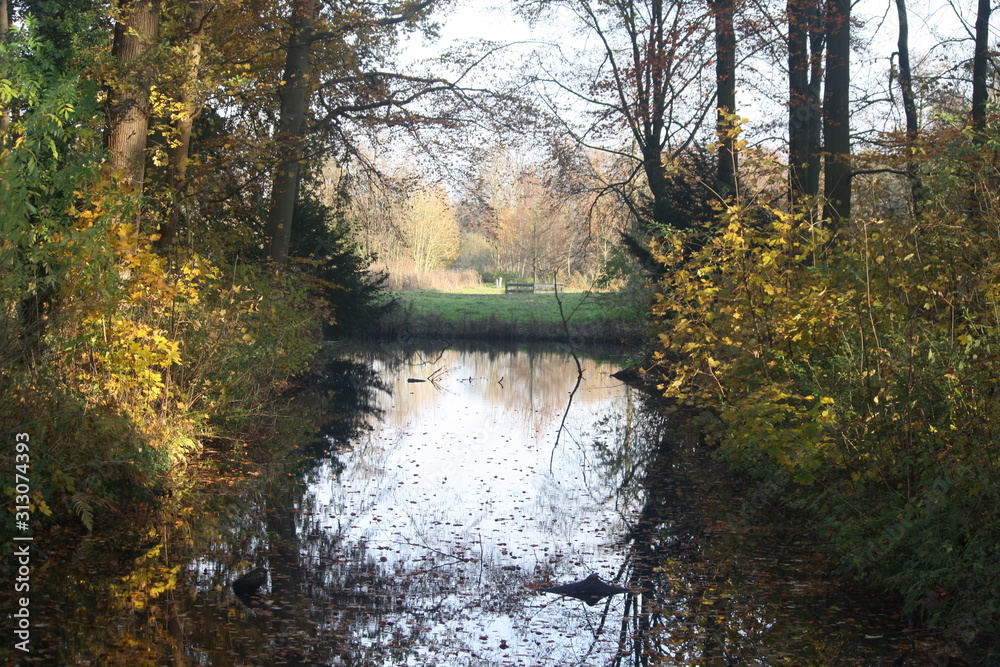 river in the forest river in the forest