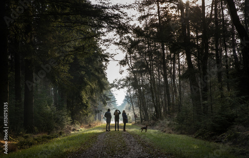 Walking the dog in the forest. Echten Netherlands. Drenthe © A
