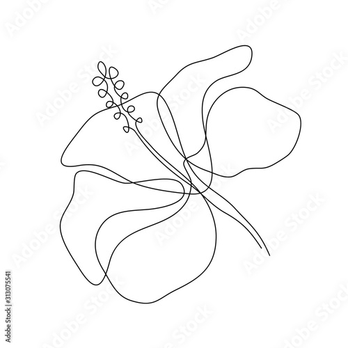 Hibiscus flower in one line art drawing style. Minimalist black line sketch on white background. Vector illustration