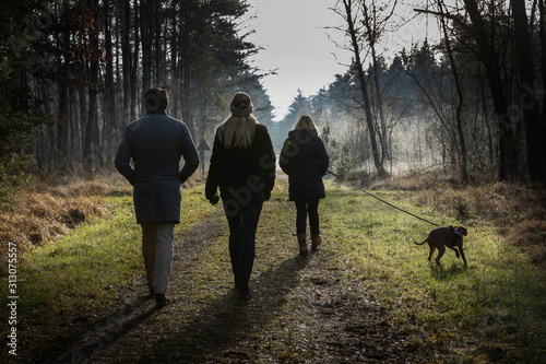 Walking the dog in the forest. Echten Netherlands. Drenthe photo