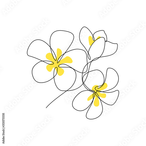 Plumeria flowers bunch in continuous line art drawing style. Minimalist black line sketch on white background. Vector illustration