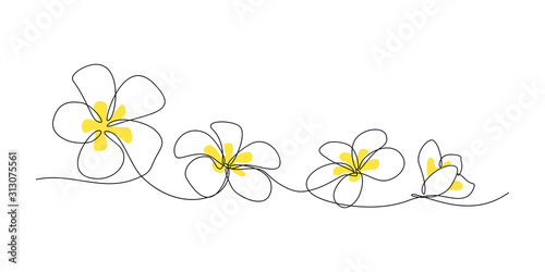 Plumeria flowers in continuous line art drawing style. Minimalist black line sketch on white background. Vector illustration