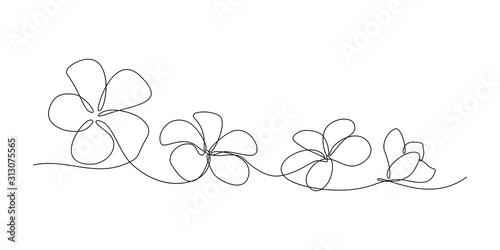 Photo Plumeria flowers in continuous line art drawing style