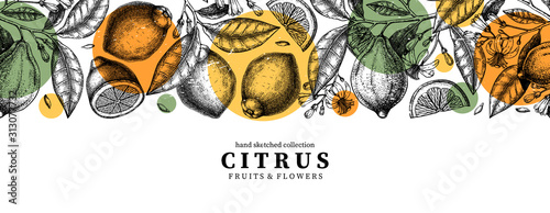 Ink hand drawn citrus fruits banner design. Vector lemons background with fruits, flowers, seeds, leaves sketches. Perfect for banners, menu, invitations, prints. Lemon outlines template