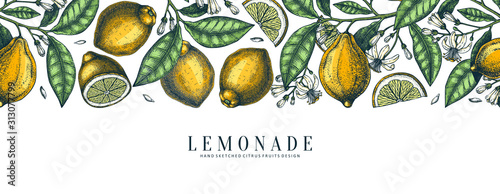 Ink hand drawn citrus fruits banner design. Vector lemons background with fruits, flowers, seeds, leaves sketches. Perfect for banners, menu, invitations, prints. Lemon outlines template