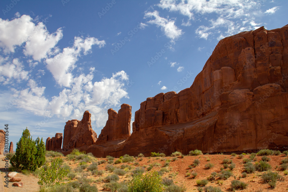 Fototapeta premium désert américain